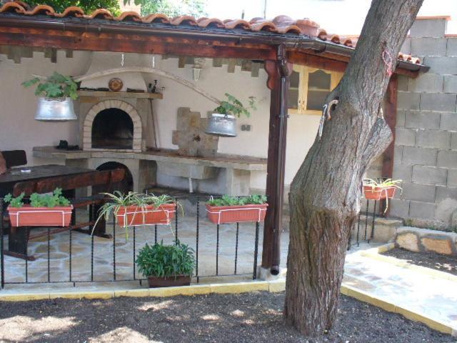 Guest House Alex Chernomorets Exterior foto